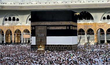 Hacda aşırı sıcaklar 550'den fazla can aldı