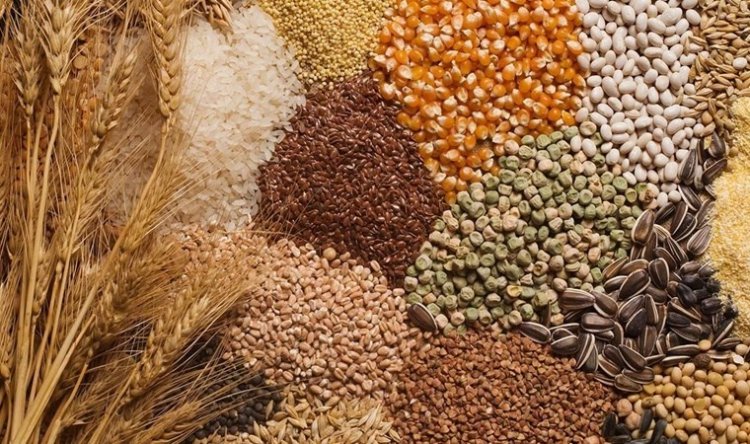 TMO 2024 Hububat Alım Fiyatlarını Açıkladı