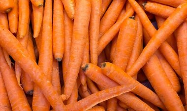 Havuçta antikanser özellik tespit edildi