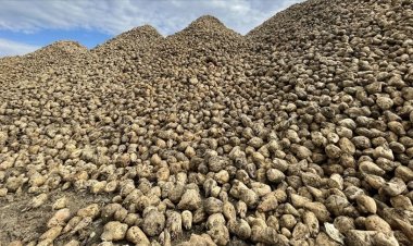 CHP Konya Milletvekili Bektaş: tarımsal sulamada elektriğe yapılan zam çiftçilerimizi zarar ettirecektir