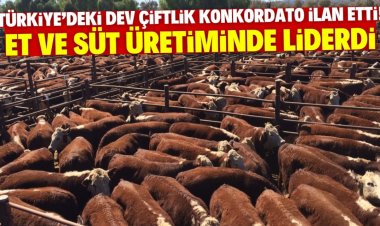 Türkiye'deki meşhur çiftlik konkordato ilan etti!