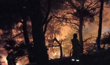 Türkiye'de ilk 6 ayda 1418 orman yangını çıktı