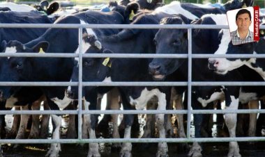 Et ithalatında rekor kapıda!