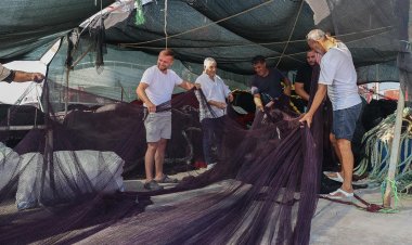 Yeni av sezonunun başlamasına sayılı günler kaldı