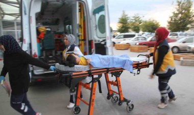 Köpeklerin saldırısına uğrayan  çocuk hastanelik oldu