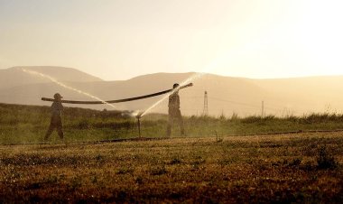 Çiftçilere 406,6 milyon liralık destek ödemesi…