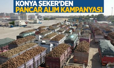 Konya Şeker ve Çumra Şeker fabrikalarında pancar alım kampanyası başladı