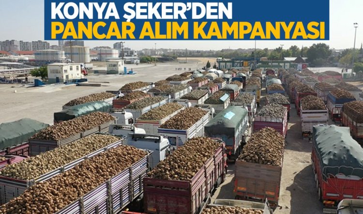 Konya Şeker ve Çumra Şeker fabrikalarında pancar alım kampanyası başladı