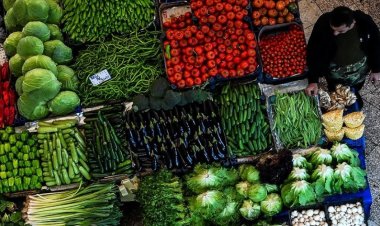 Ağustosta fiyatı en fazla artan "üniversite eğitimi", en çok düşen "meyve" oldu