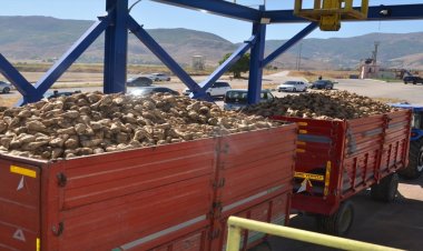 ÇİFTÇİ TON BAŞINA 2 BİN 850 TL BEKLİYOR