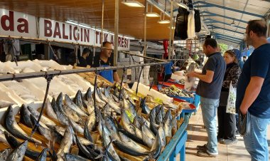 Balık fiyatları uçtu!