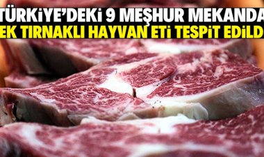 'Tek tırnaklı hayvan eti' tespit edildi!