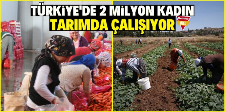 Türkiye'de 2 milyon kadın tarımda çalışıyor!