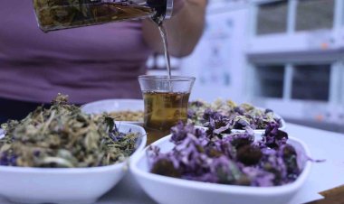 Bağışıklık sistemini güçlendiren dört bitki karışımı: ‘Amber çiçeği çay’