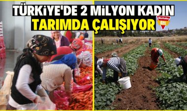 Türkiye'de 2 milyon kadın tarımda çalışıyor!