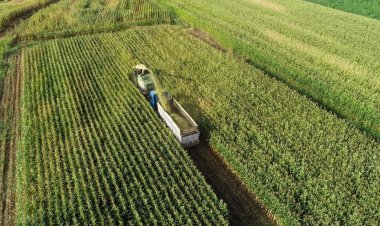 Tarımsal girdi fiyat endeksi ağustosta arttı