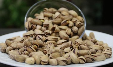 Dünyanın en iyi 2. kuruyemişi seçildi