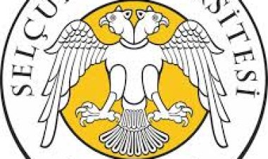 Türkiye'nin en başarılı üniversiteleri Koç, Hacettepe ve ODTÜ seçildi