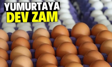 Yumurtaya dev zam