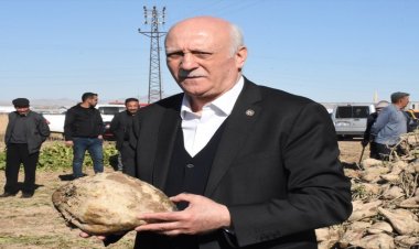 Pancar üreten çiftçi sayısı yüzde 20 azaldı