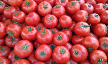 Domatesin fiyatı seradan markete yüzde 175 artıyor