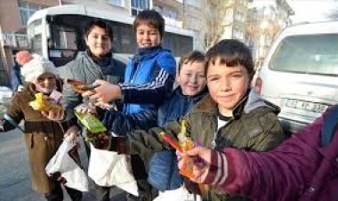 ŞİVLLİK  2 OCAKTA