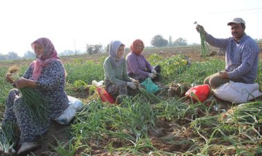 Tarımsal girdi fiyat endeksi yıllık yüzde 32,59 artış gösterdi