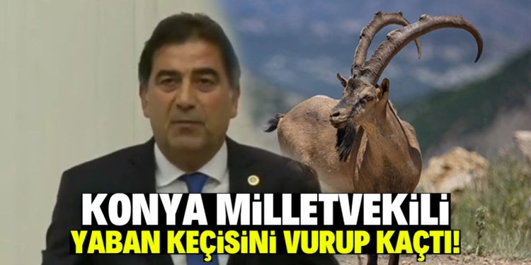 İYİ Partili Ünal Karaman yaban keçisi avlarken yakalandı: Cezayı yedi