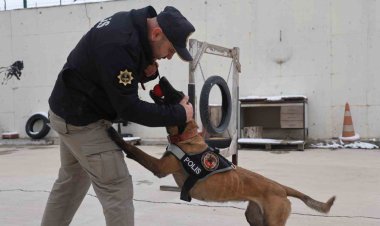 Zehir tacirlerinin korkulu rüyası ’Hassas burunlar’