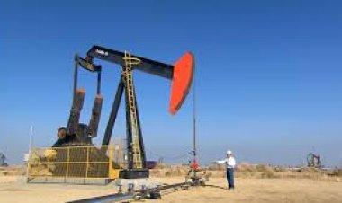 Ham petrol üretiminde rekor !