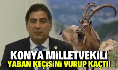 İYİ Partili Ünal Karaman yaban keçisi avlarken yakalandı: Cezayı yedi
