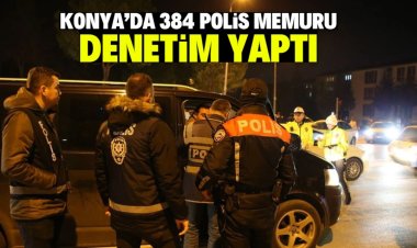 polis denetimi