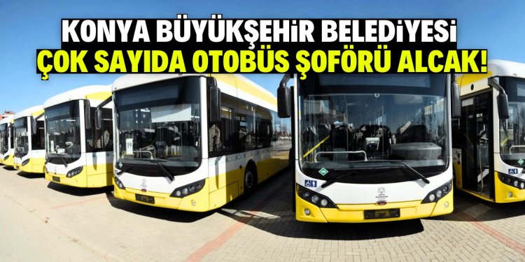 Büyükşehir Belediyesi otobüs şoförü alacak