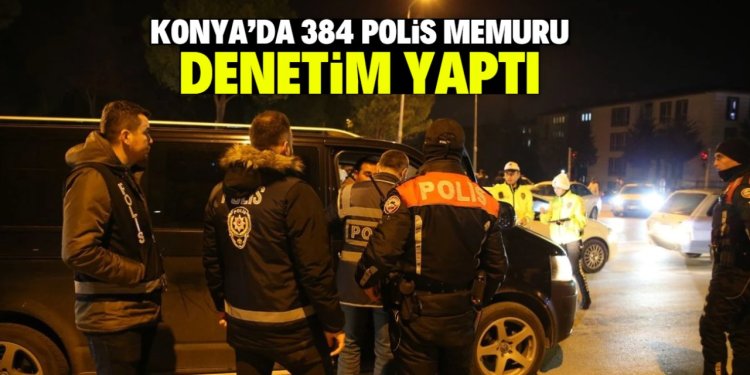 polis denetimi