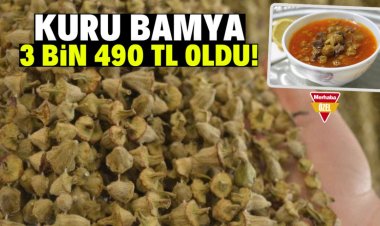 Selçuklu döneminde saray sofrasından  çıkan lezzet, sarayına geri döndü!