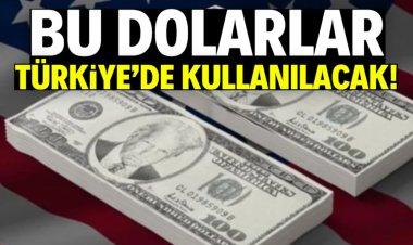 YENİ DOLAR