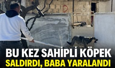 SAHİPLİ KÖPEK