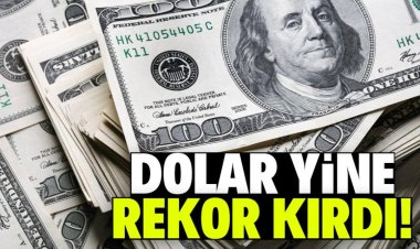 DOLAR REKORDA ...