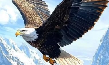 Yeşil_beyazlılar  evinde Beşiktaş’ı yendi ve puanını 31 yaptı. KARTAL 9 KİŞİ İLE UÇTU: 1-0