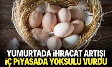 Yumurtadaki ihracat artışı iç piyasada dar gelirliyi vurdu