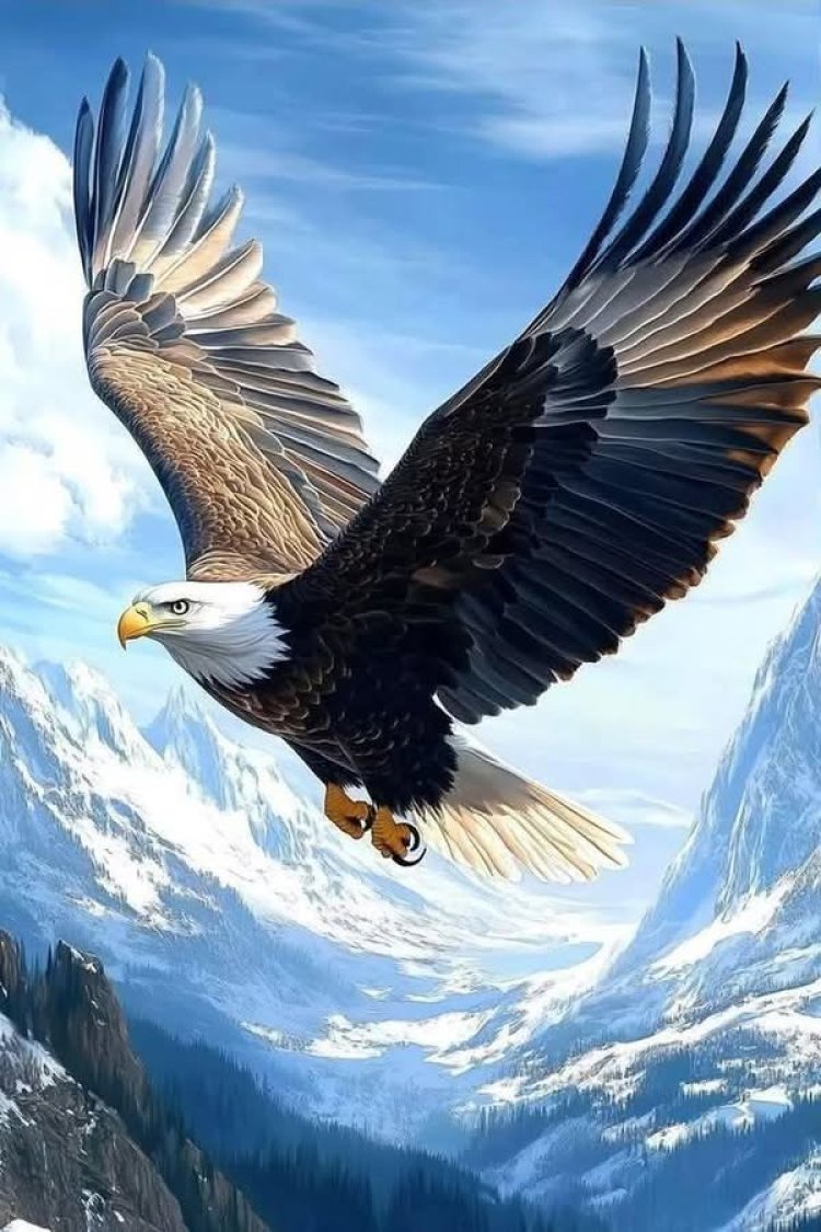 Yeşil_beyazlılar  evinde Beşiktaş’ı yendi ve puanını 31 yaptı. KARTAL 9 KİŞİ İLE UÇTU: 1-0