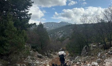 Konya’da dağlık alanda kaybolan 50 keçiden 20’sini kurtlar telef etti