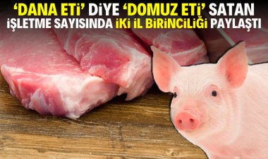 DOMUZ ETİ