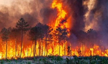O tarihlerde girişler yasak