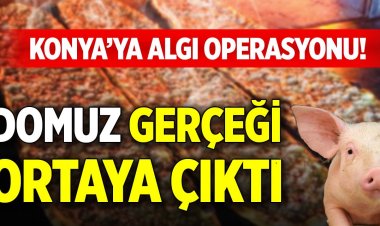 Domuz gerçeği ortaya çıktı