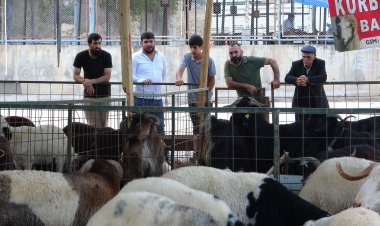 Kurban pazarlarında kıran kırana pazarlık!