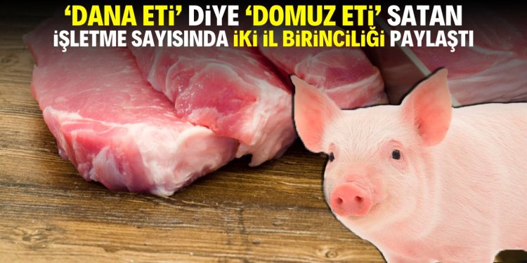DOMUZ ETİ