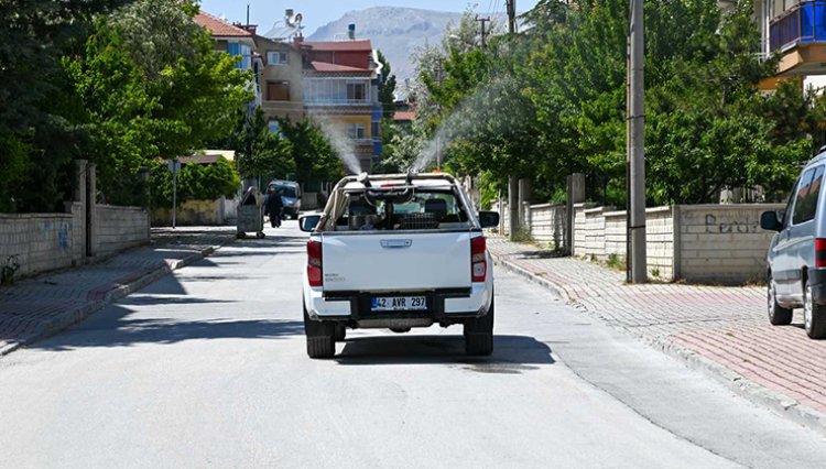 Selçuklu’da ilaçlama çalışmaları başladı