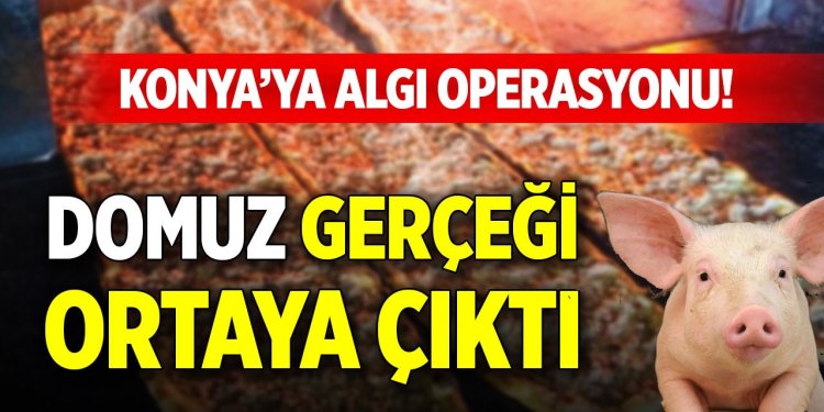 Domuz gerçeği ortaya çıktı