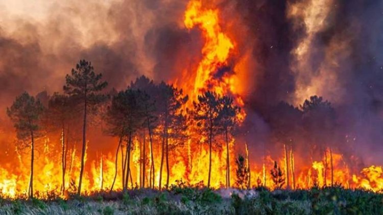 O tarihlerde girişler yasak